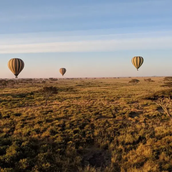 Hot Air Balloon