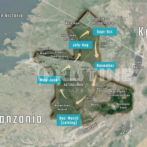 A detailed map of East Africa showcasing the iconic Great Migration path through Serengeti National Park, with month-by-month movement insights across Kenya and Tanzania's adjacent regions.