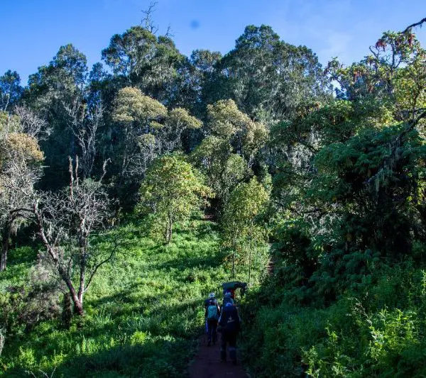 Hike Mount Kilimanjaro