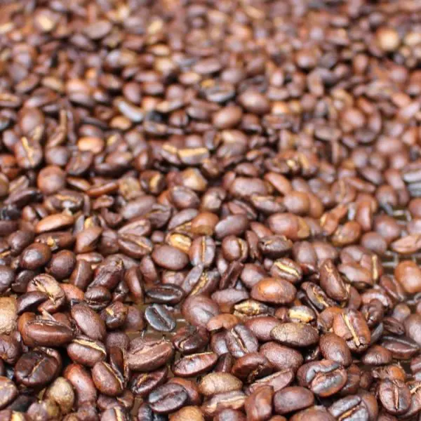 A close-up view of roasted coffee beans spread out uniformly, capturing the essence of a captivating coffee tour.