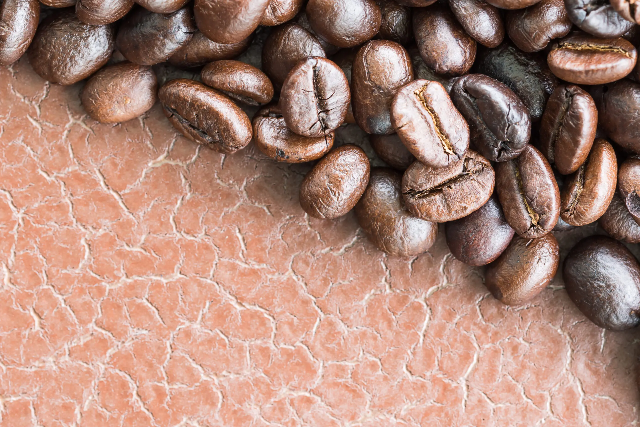 A close-up view of roasted coffee beans scattered on a textured, brown surface—capturing a moment from an immersive COFFEE TOUR experience.