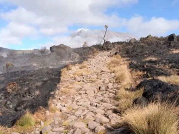 Mount Kilimanjaro