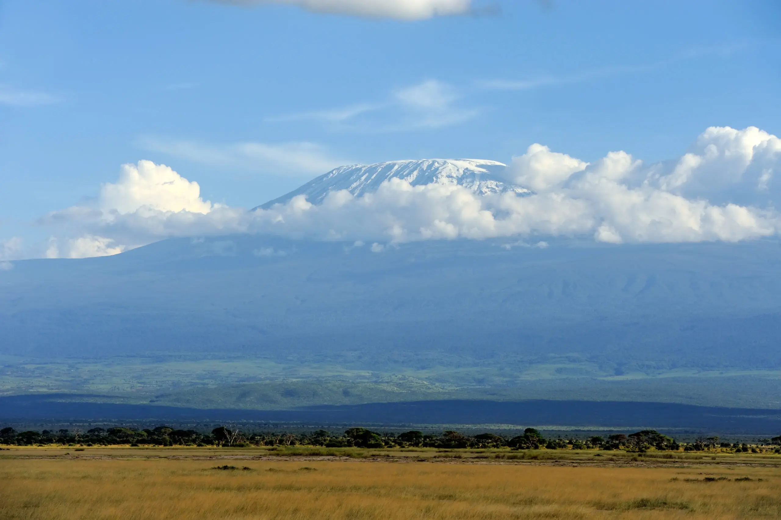 Snow-capped Mt. Kilimanjaro rises above the clouds and green plains under a blue sky, with grassy savanna stretching across the foreground.