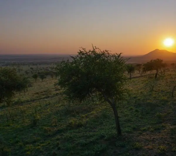 Sunset over a savannah landscape in a national park, with sparse trees, a distant mountain, and a clear sky.