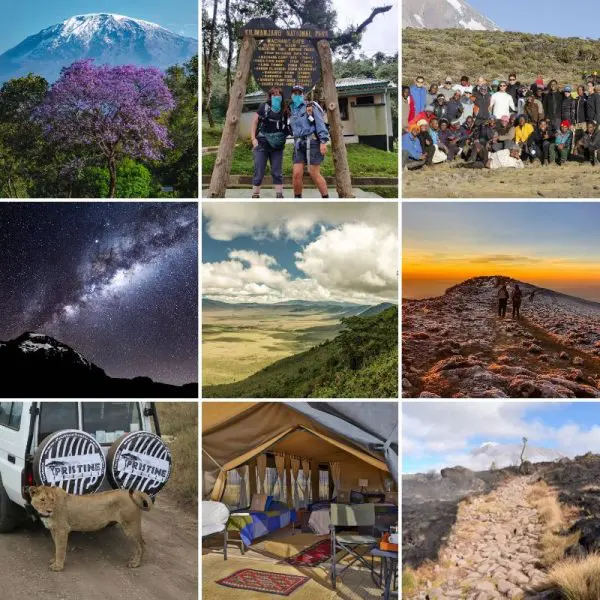 A collage of nine photos from 2020 showcases Mount Kilimanjaro, adventurous hikers, a warm group photo, a mesmerizing starry sky, lush grassy landscapes at sunset, a safari vehicle with a cheetah encounter, a cozy tent interior, and the rugged allure of a rocky path.