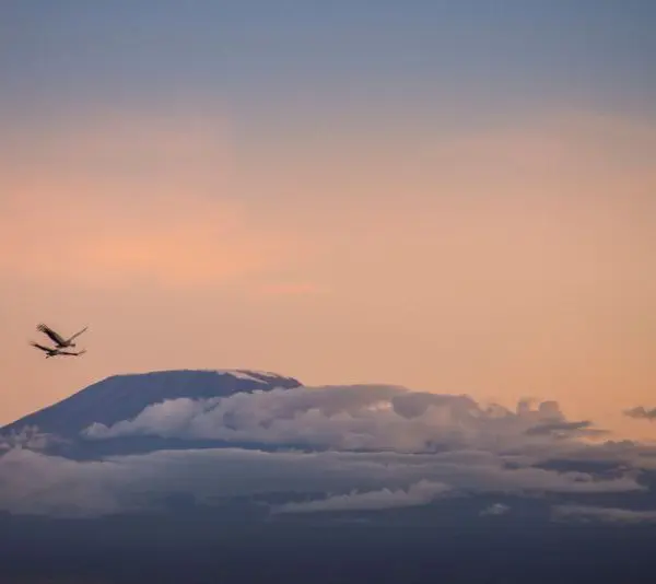 An airplane glides gracefully past a mountain peak, silhouetted against a cloudy sky at sunset, evoking dreams of traveling to Tanzania's breathtaking landscapes.