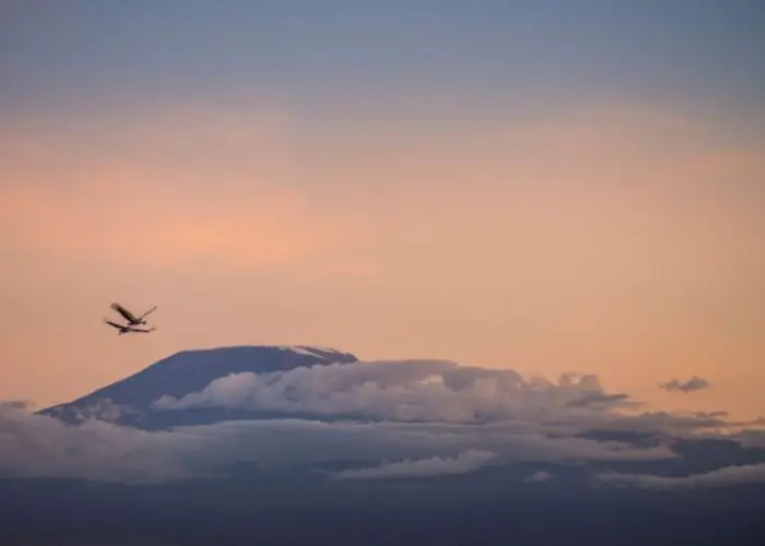 An airplane glides gracefully past a mountain peak, silhouetted against a cloudy sky at sunset, evoking dreams of traveling to Tanzania's breathtaking landscapes.