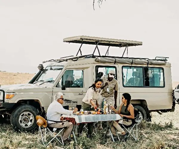 A group enjoys a picnic beside a safari vehicle in the grassy expanse of a national park's savanna.