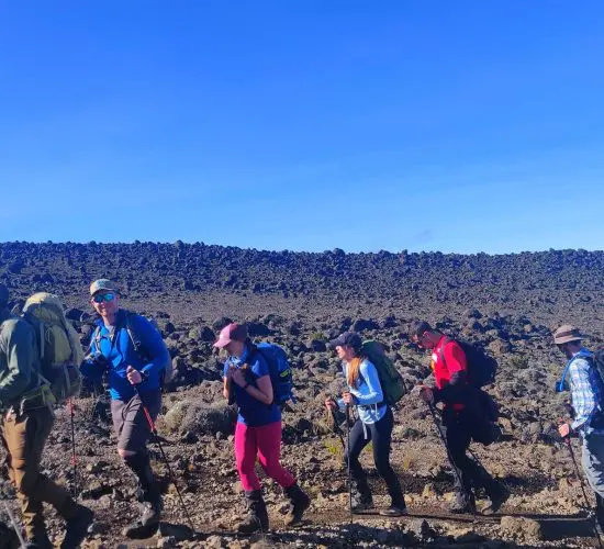 A group of hikers with backpacks and hiking poles walk in single file on a rocky terrain under a clear blue sky.