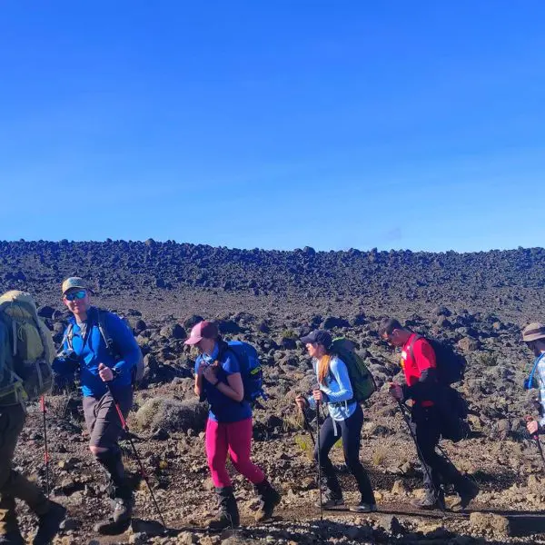 A group of hikers with backpacks and hiking poles walk in single file on a rocky terrain under a clear blue sky.