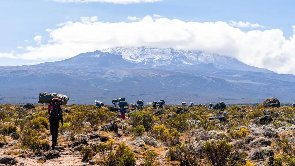 Hikers carrying backpacks trek through a scrubland with a snow-capped mountain in the background under a partly cloudy sky.