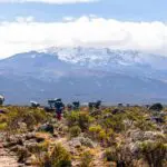 Hikers carrying backpacks trek through a scrubland with a snow-capped mountain in the background under a partly cloudy sky.