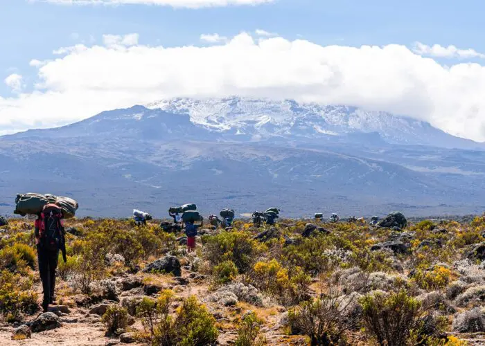 Hikers carrying backpacks trek through a scrubland with a snow-capped mountain in the background under a partly cloudy sky.