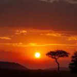 Sunset over the vast Serengeti landscape showcases silhouetted trees and distant hills under a cloudy sky, offering a scene that rivals even the beauty of the famed Ngorongoro Crater.