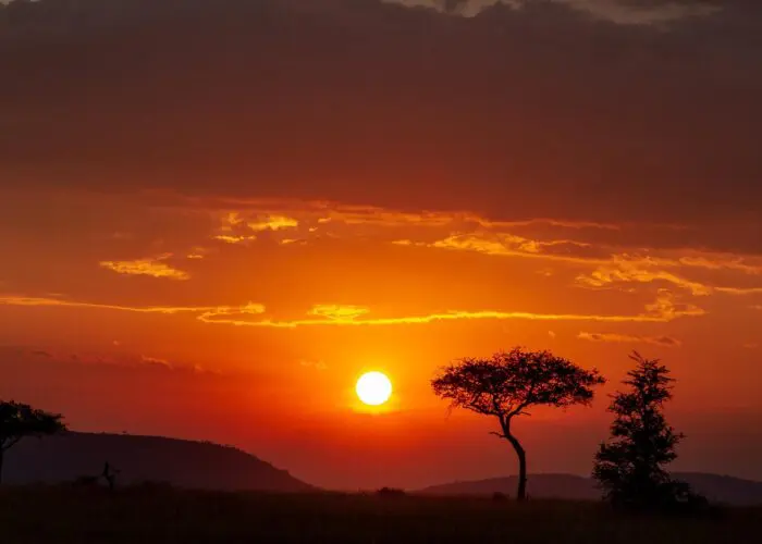 Sunset over the vast Serengeti landscape showcases silhouetted trees and distant hills under a cloudy sky, offering a scene that rivals even the beauty of the famed Ngorongoro Crater.