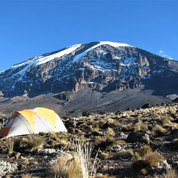 A tent is set up on grassy terrain against a backdrop of Mount Kilimanjaro, with its snow-capped peak under a clear blue sky.