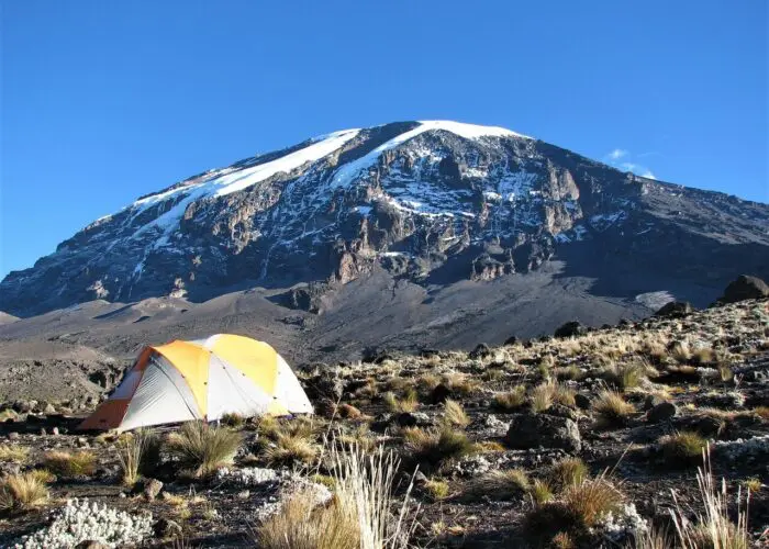 A tent is set up on grassy terrain against a backdrop of Mount Kilimanjaro, with its snow-capped peak under a clear blue sky.