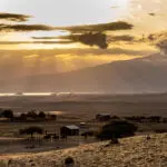 Sun rays break through clouds over a rural landscape with scattered trees, cattle, and small houses—perfect scenery for a first-time safari—with mountains and a body of water in the background.