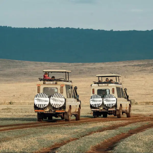 Two safari vehicles with zebra-patterned covers drive on a dirt road across a grassy plain. Hills rise in the background beneath a partly cloudy sky—an inviting scene for those looking to compare safari packages or explore Tanzania tour packages.