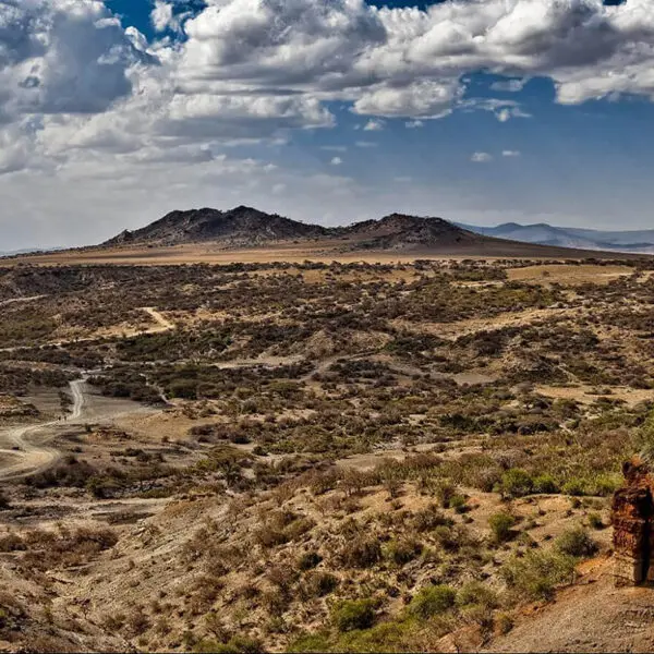 Arid landscape with sparse vegetation, dirt roads, rocky hills, and a partly cloudy sky, featuring a prominent cliff in the foreground—an ideal scene for travel enthusiasts looking to visit Tanzania’s rugged beauty.