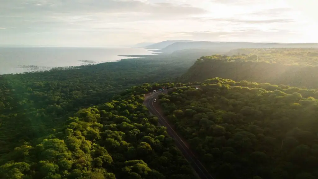 A winding road curves through dense green forest along a hilly landscape, with a large body of water to the left under a bright, cloudy sky—a snapshot of Pristine Trails during Tanzania’s seasons.