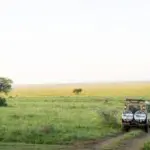 A safari vehicle drives along a dirt track through Tanzania’s pristine trails, winding across an open grassy plain with scattered trees under a clear sky.