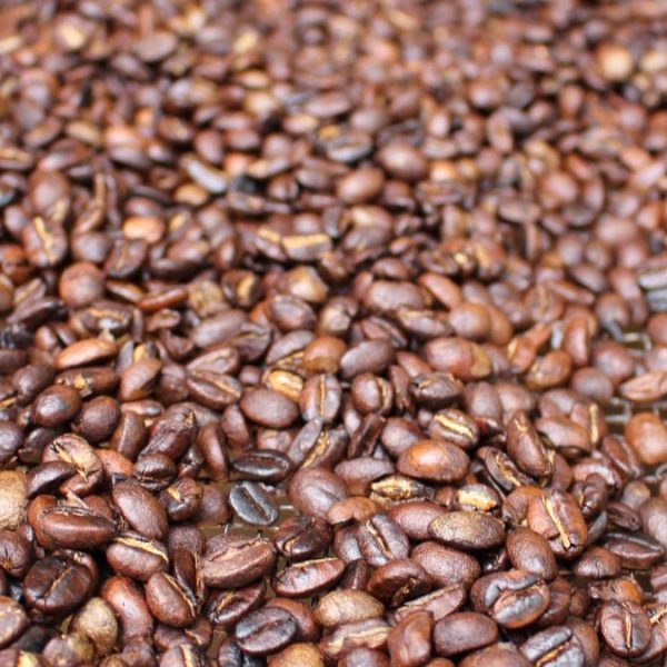 A close-up view of roasted coffee beans spread out uniformly, capturing the essence of a captivating coffee tour.