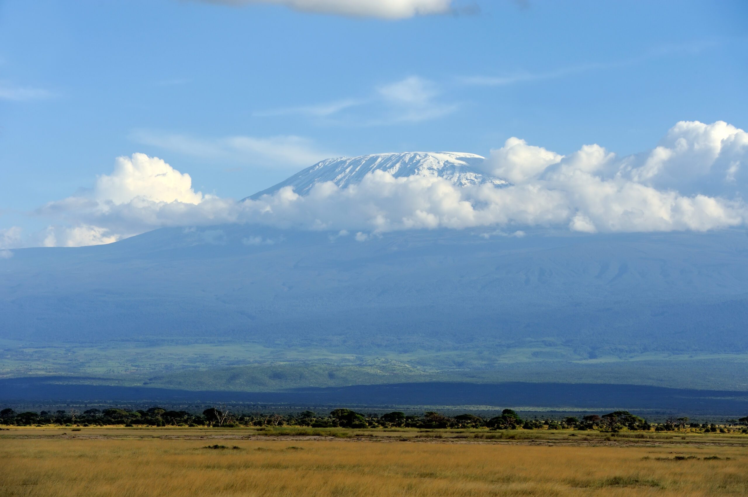 Snow-capped Mt. Kilimanjaro rises above the clouds and green plains under a blue sky, with grassy savanna stretching across the foreground.
