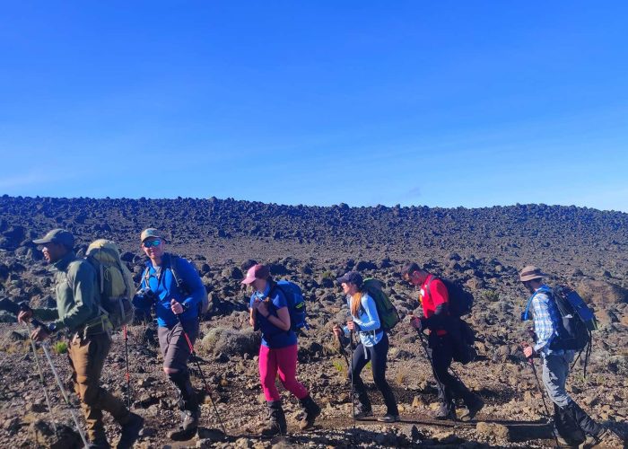 A group of hikers with backpacks and hiking poles walk in single file on a rocky terrain under a clear blue sky.