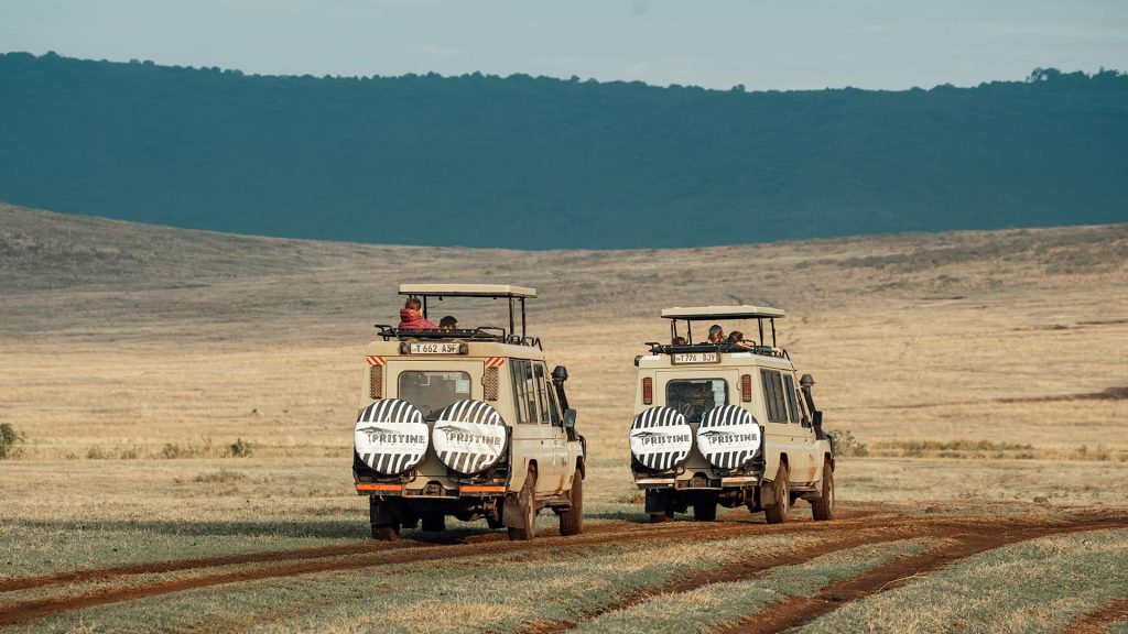 Two safari vehicles with zebra-patterned spare tires drive along a dirt path in open grasslands with hills in the background.