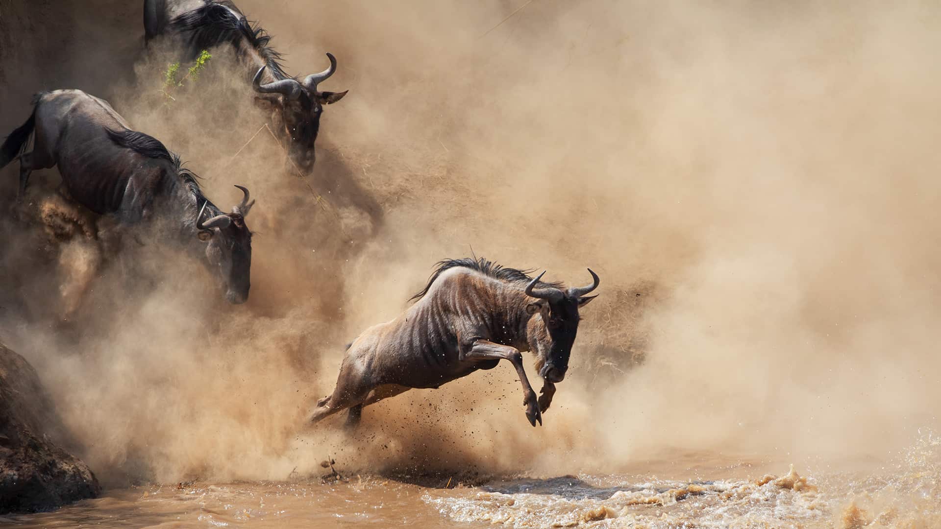 Traveler's Guide to the Serengeti | Pristine Trails