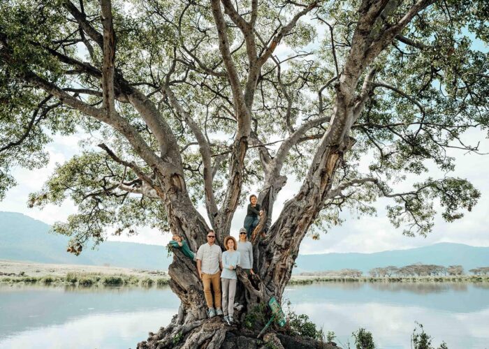 Four people stand on and around a large tree by a lake, with mountains in the background.