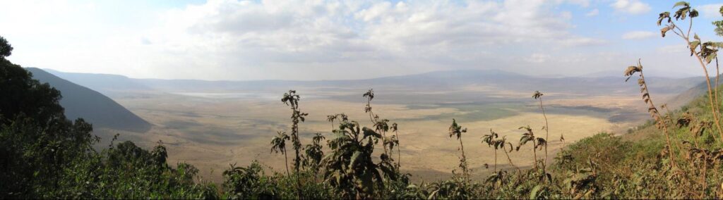Experience the breathtaking panoramic view of Ngorongoro Crater's vast landscape, where scattered vegetation graces the foreground under a partly cloudy sky. This incredible natural formation invites you to visit and explore its unique beauty.