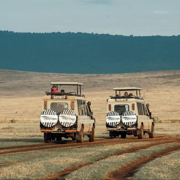 Two safari vehicles with zebra-patterned covers drive on a dirt road across a grassy plain. Hills rise in the background beneath a partly cloudy sky—an inviting scene for those looking to compare safari packages or explore Tanzania tour packages.