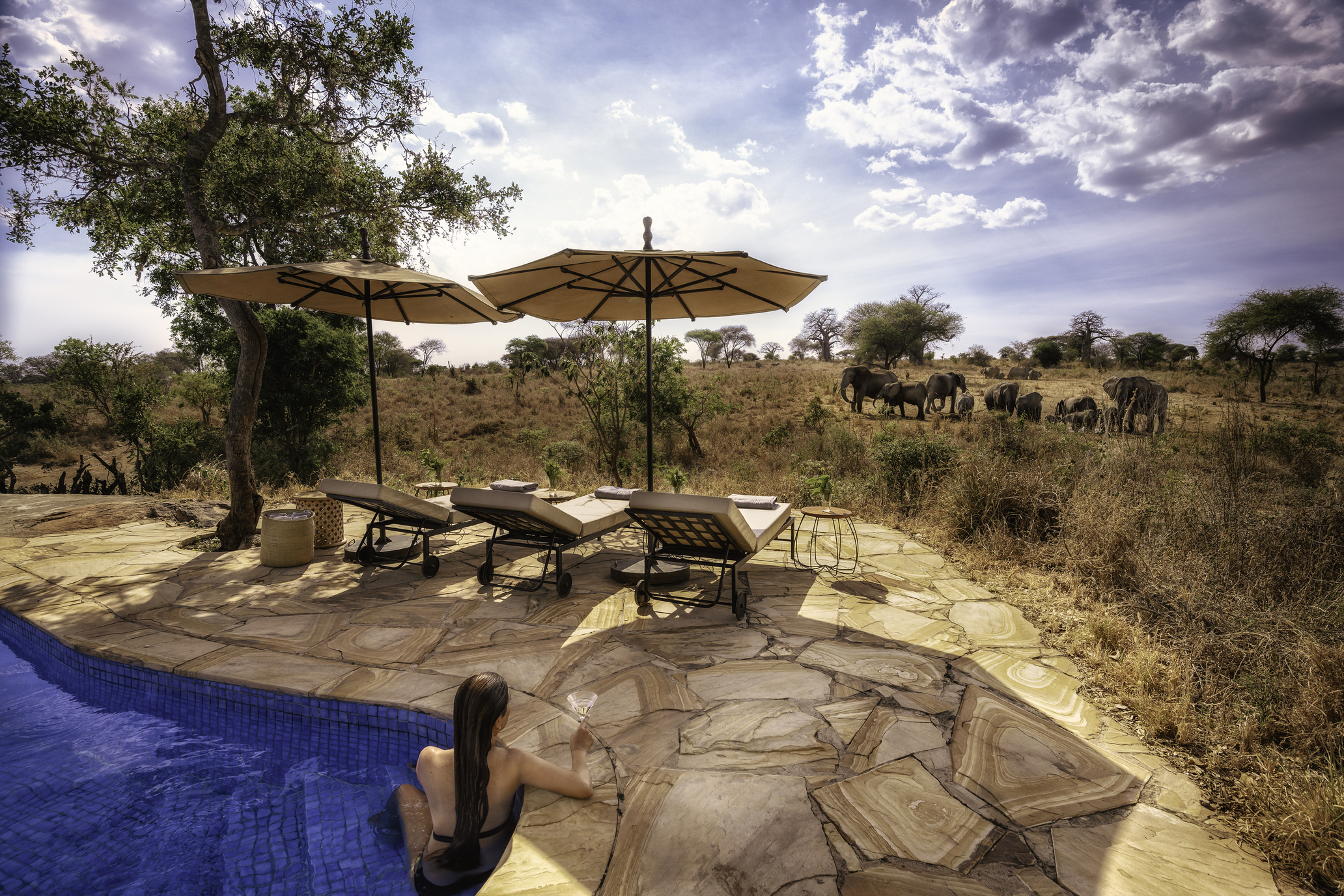 A person sits at the edge of a pool near lounge chairs and umbrellas at Nimali Tarangire, a luxury safari lodge, while a herd of elephants grazes in the savannah of Tarangire National Park under a partly cloudy sky.