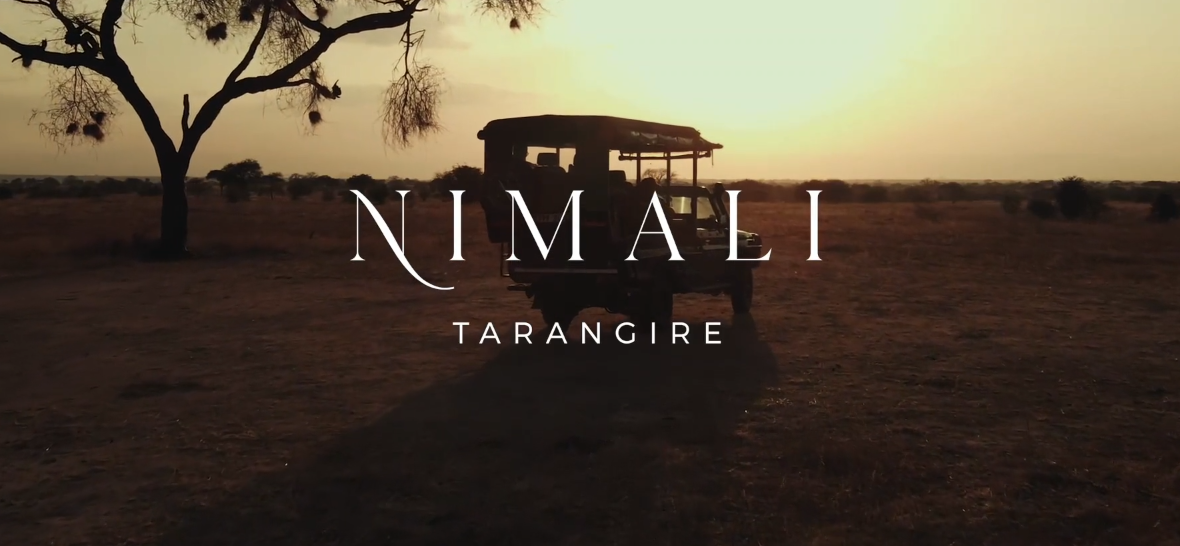 Silhouette of a safari vehicle under a tree at sunset with the text "Nimali Tarangire" overlaid, capturing the spirit of this luxury safari lodge in the heart of Tarangire National Park.