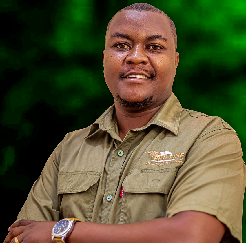 Meet the Team: A man wearing a khaki shirt with a "Pristine" logo stands with arms folded, smiling, against a green blurred background.