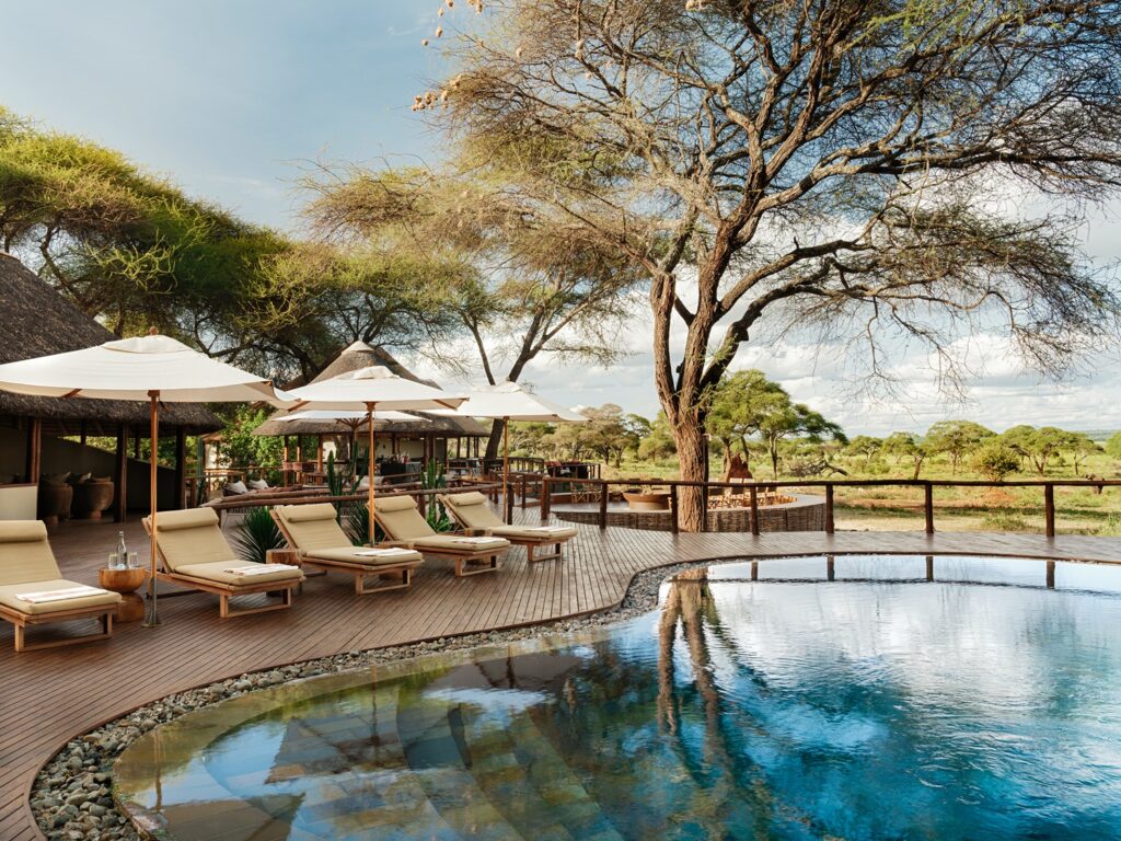 Sun loungers and parasols arranged on a wooden decking next to a curved swimming pool overlooking a Sanctuary Swala savanna landscape.